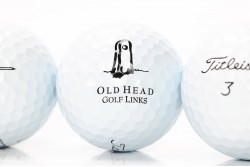 Titleist Pro V1x sleeve golf balls 